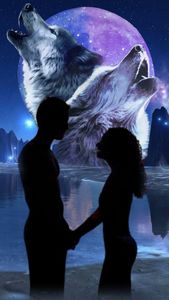 Love Among The Moon Wolf Pack