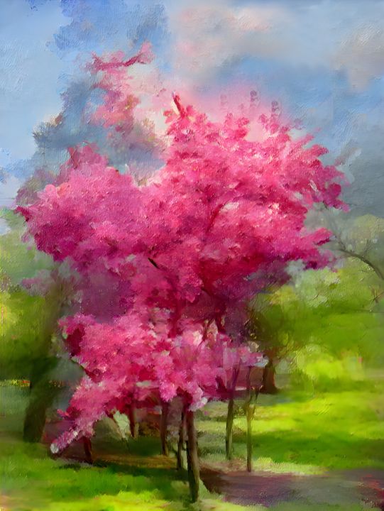 Cherry blossoms - Asante