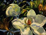 Magnolia oil painting