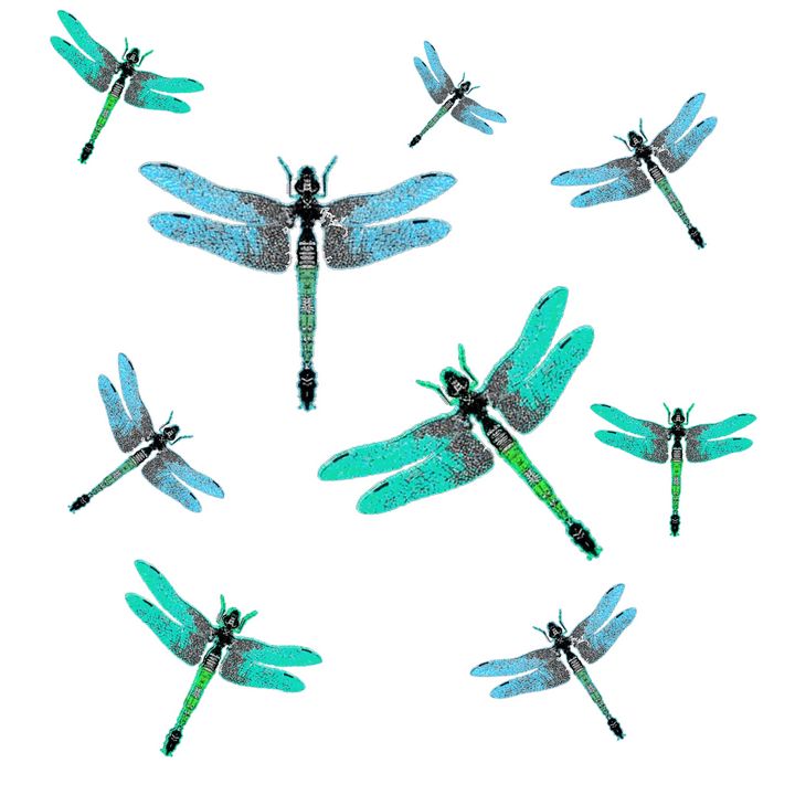 swarm-of-blue-summer-dragonflies-sharlesart-drawings-illustration