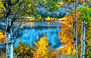 California USA