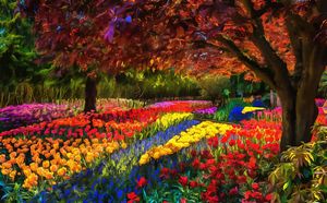 garden