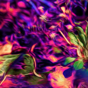 Leaves - Travis Burgess