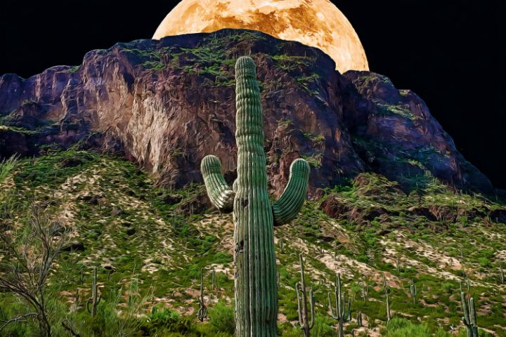 Moonlit Picacho Peak - Larry Nader Photography & Art
