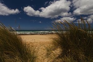 Grass Sand Sea and Sky
