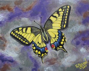 Old World Swallowtail Butterfly - Hollywood - Paintings & Prints