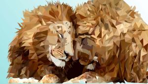 Lions in love - JB