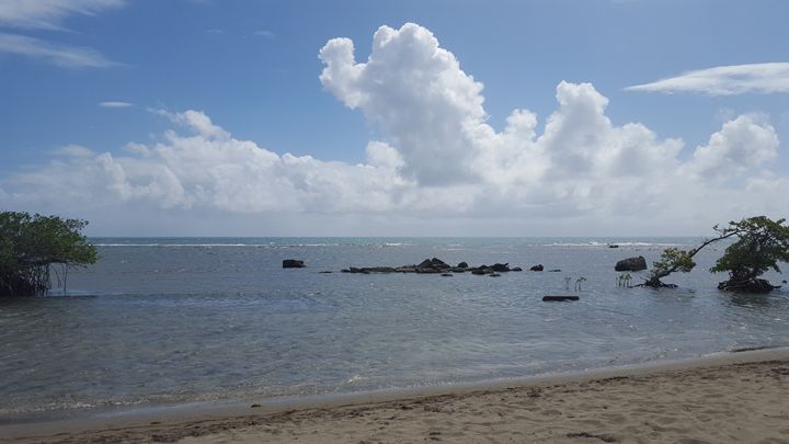 Caribbean Paradise - Sotomayor