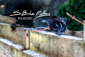 Roses - Steve MacBurke