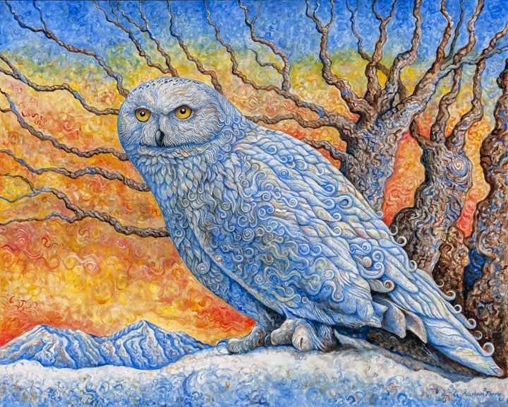 Snow Owl - Nathan Perry Fine Art