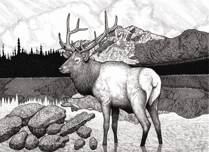 Elk Lake, Montana - Nathan Perry Fine Art - Drawings & Illustration ...