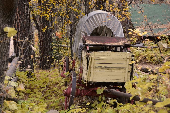 Vintage Covered Wagon - Richard W. Jenkins Gallery