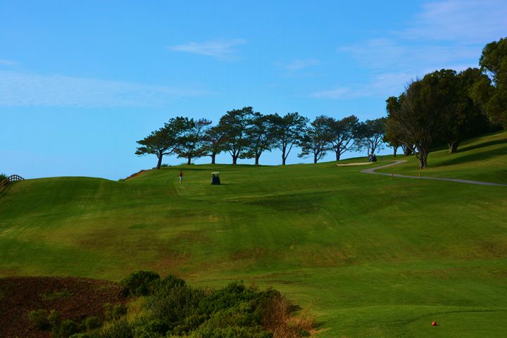 Torrey Pines Golf 1 - Richard W. Jenkins Gallery