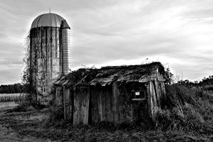 Silo and Shed Black and White