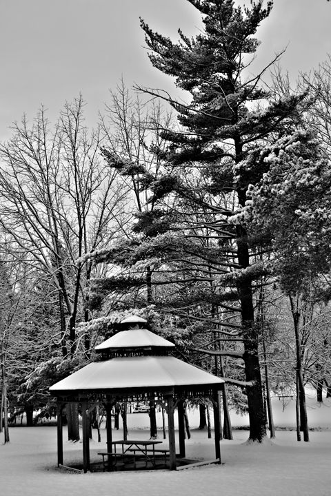 Black and White Winter Scene - Richard W. Jenkins Gallery