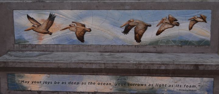 Pelicans and a wise quote - Richard W. Jenkins Gallery