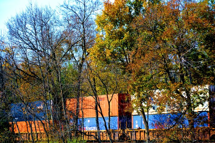 Box Cars in the Woods - Richard W. Jenkins Gallery
