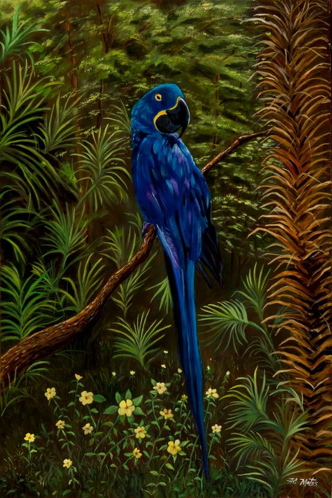 blue macaw painting