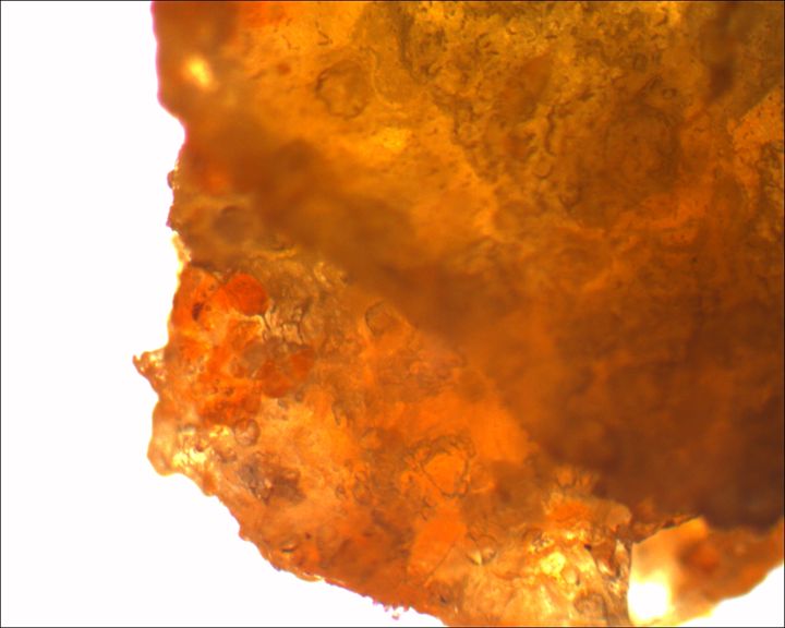 Crushed Doritos Chip - Calvin Franklin: Photomicrography