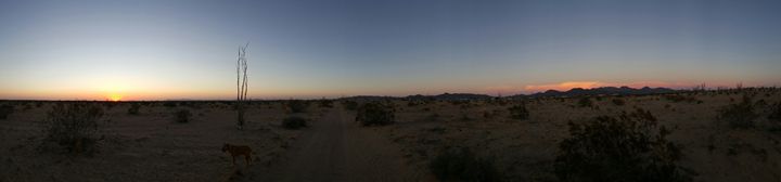 Desert at dusk - Angalena's gallery