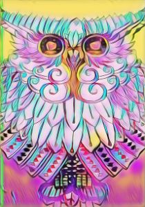 🦉 Cosmic Owl