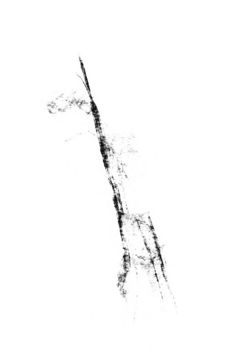 MIllenary Paper Bottle Leonardo De Simone Drawings Illustration