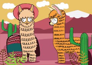 Two llamas