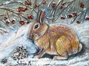 Wild Rabbit in the snow