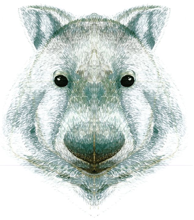 Wombat head - art de conception