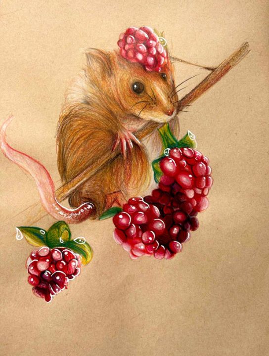 field mouse drawing