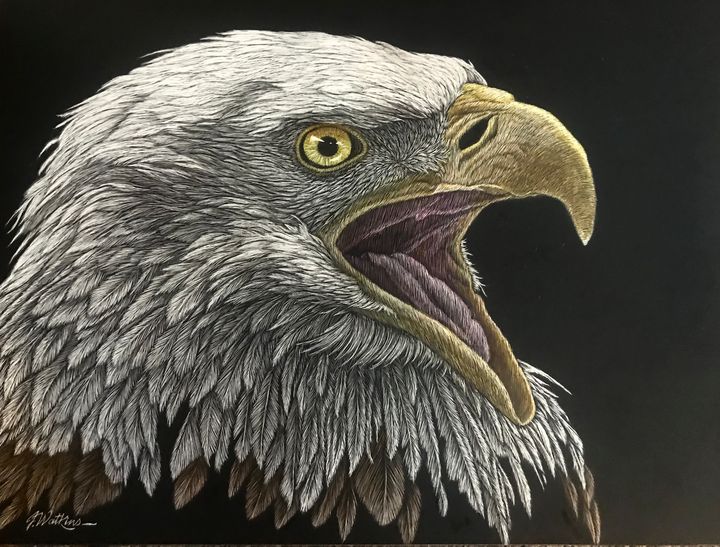 Bald Eagle Scratchboard Fine Art Print | thecozyred