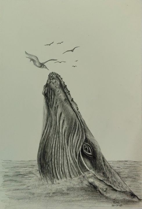 Blue Whale Art Print Pencil Drawing Black and White Printed - Etsy