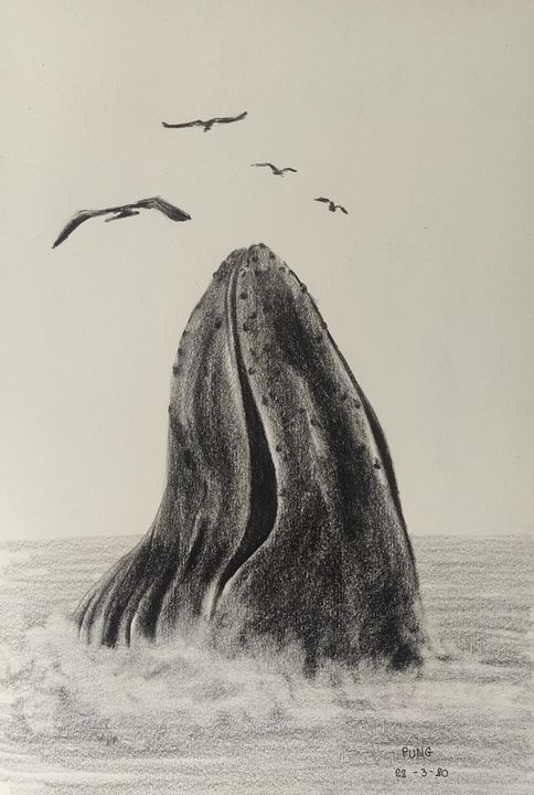 Pencil Sketch of Whale Sighting - Alaska | eBay