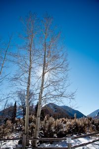Winter in Aspen