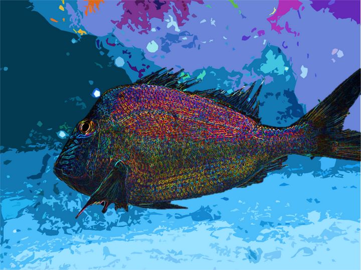 Porgy Fish 3 - Kelley by the Sea - Digital Art & AI, Animals, Birds