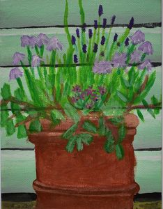 Purple Flowers, lavander
