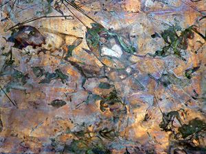 Copper Impressions.