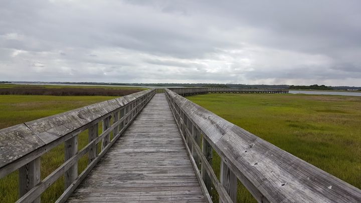 Walk on a NC marsh straight right - Paula Ray