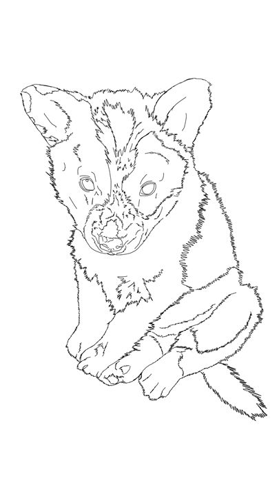 25+ Best Looking For Australian Shepherd Drawing Outline | Beads by Laura
