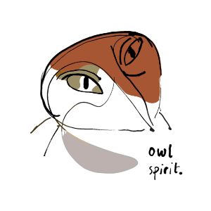 Owl spirit