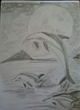Dolphin drawing