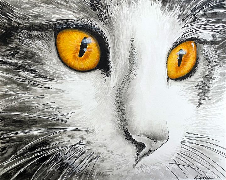 Copper Diamonds - Renee Luckey - Paintings & Prints, Animals, Birds, &  Fish, Cats & Kittens, Non-Pedigreed Cats, Solid & White Colored Cat - ArtPal