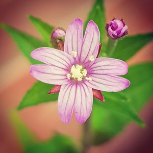 Small is beautiful