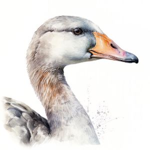 Goose Animal Portrait Watercolor - Frank095