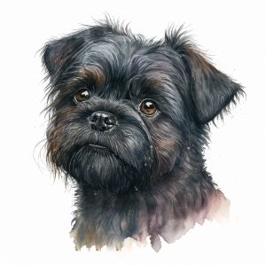 Affenpinscher Dog Portrait Watercolo - Frank095