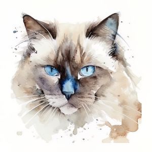 Birman Cat Portrait Watercolor - Frank095
