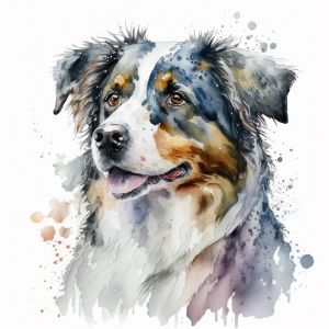 Australian Shepherd Dog Portrait Wat - Frank095