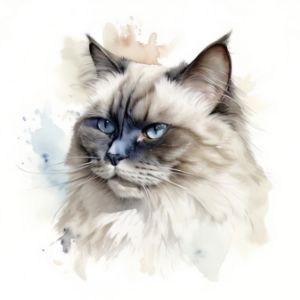 Himalayan Cat Portrait Watercolor - Frank095