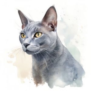 Korat Cat Portrait Watercolor - Frank095