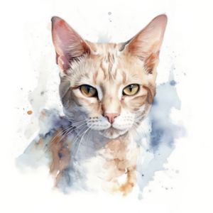 Oregon Rex Cat Portrait Watercolor - Frank095